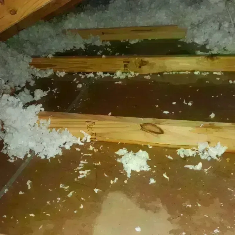 Attic Water Damage in Vilas County, WI